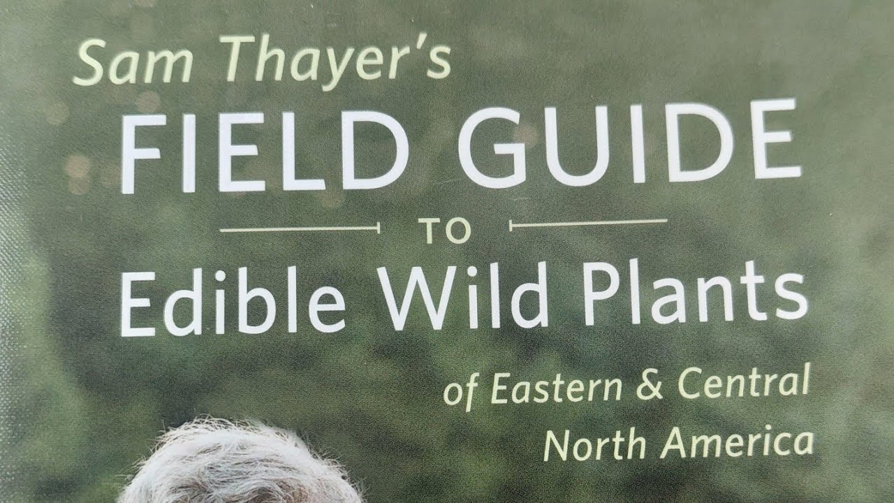 Samuel Thayer's Field Guide to Edible Plants