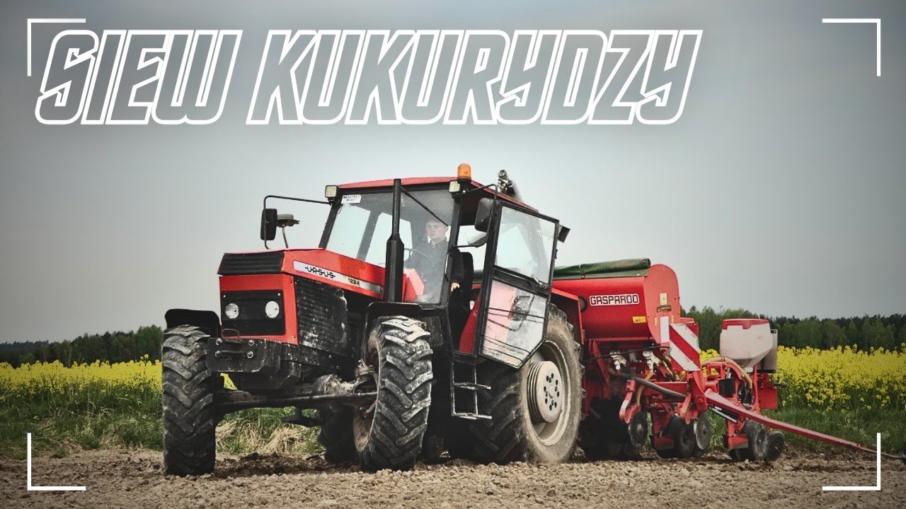 🔥 Siew Kukurydzy 2023 🔥 UR. Mariusz Szuster 🔥Ursus 1224 & Maschio Gaspardo🔥