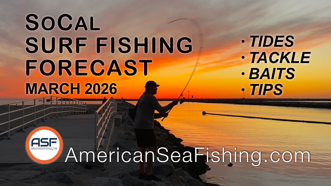 March 2026 SoCal Surf Fishing Forecast | Best Tides, Baits, Rods & Reels for Halibut & White Seabass