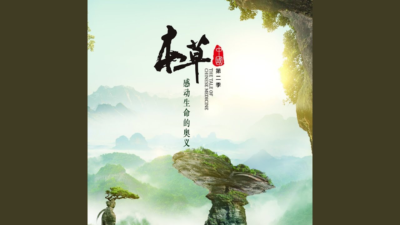 万物之灵