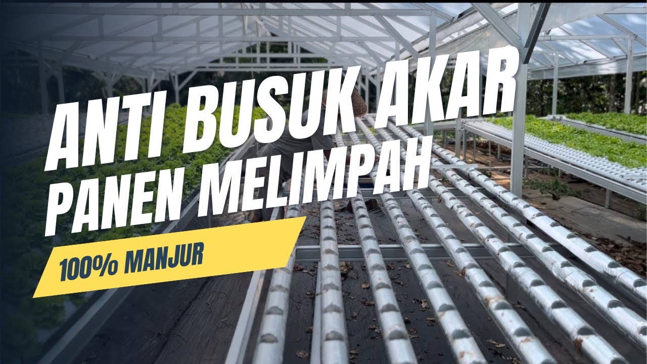 JURUS JITU CUAN MELIMPAH, STERILISASI INSTALASI PASCA PANEN