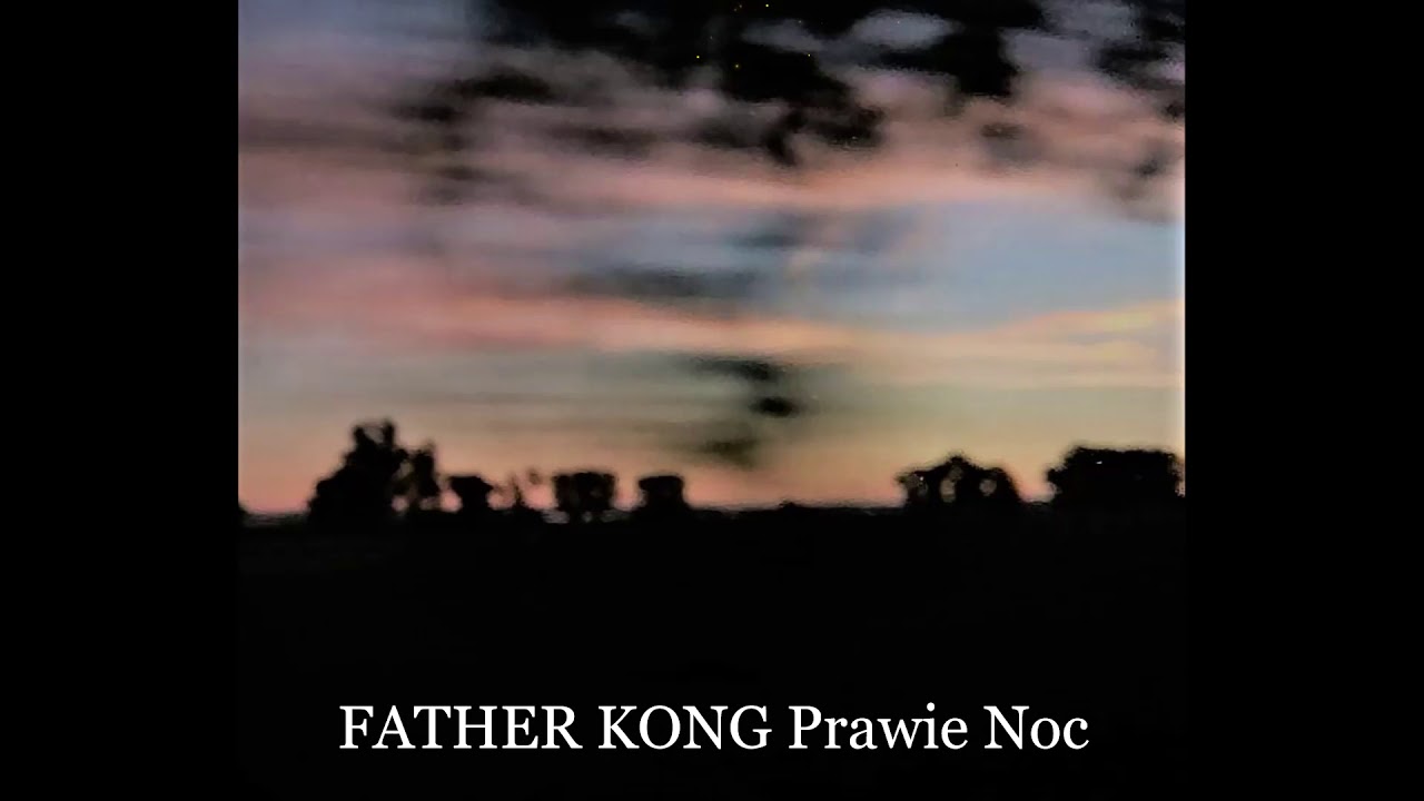 Father Kong - Prawie Noc