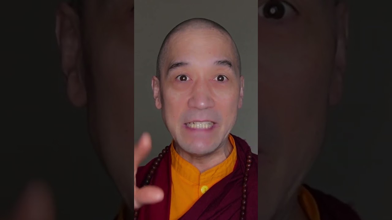 The principle commitment of the Vajrayana is pure vision!  #meditation #enlightment