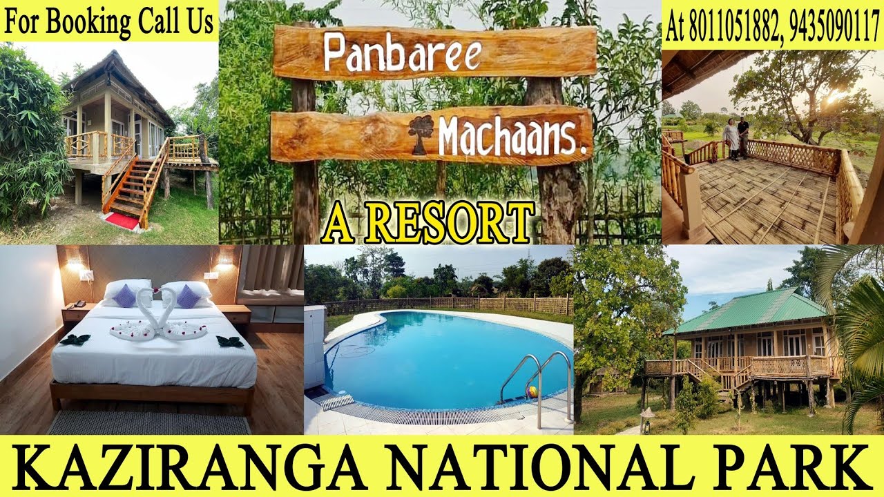 Panbaree Machaans - A Resort | KAZIRANGA NATIONAL PARK | Kajiranga | #Northeast_vloggers