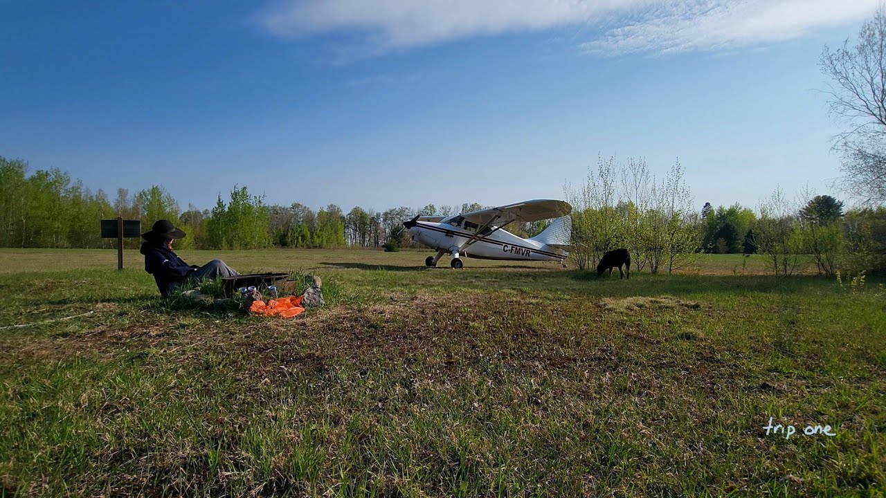 Airplane Camping With My Dog (trip one)