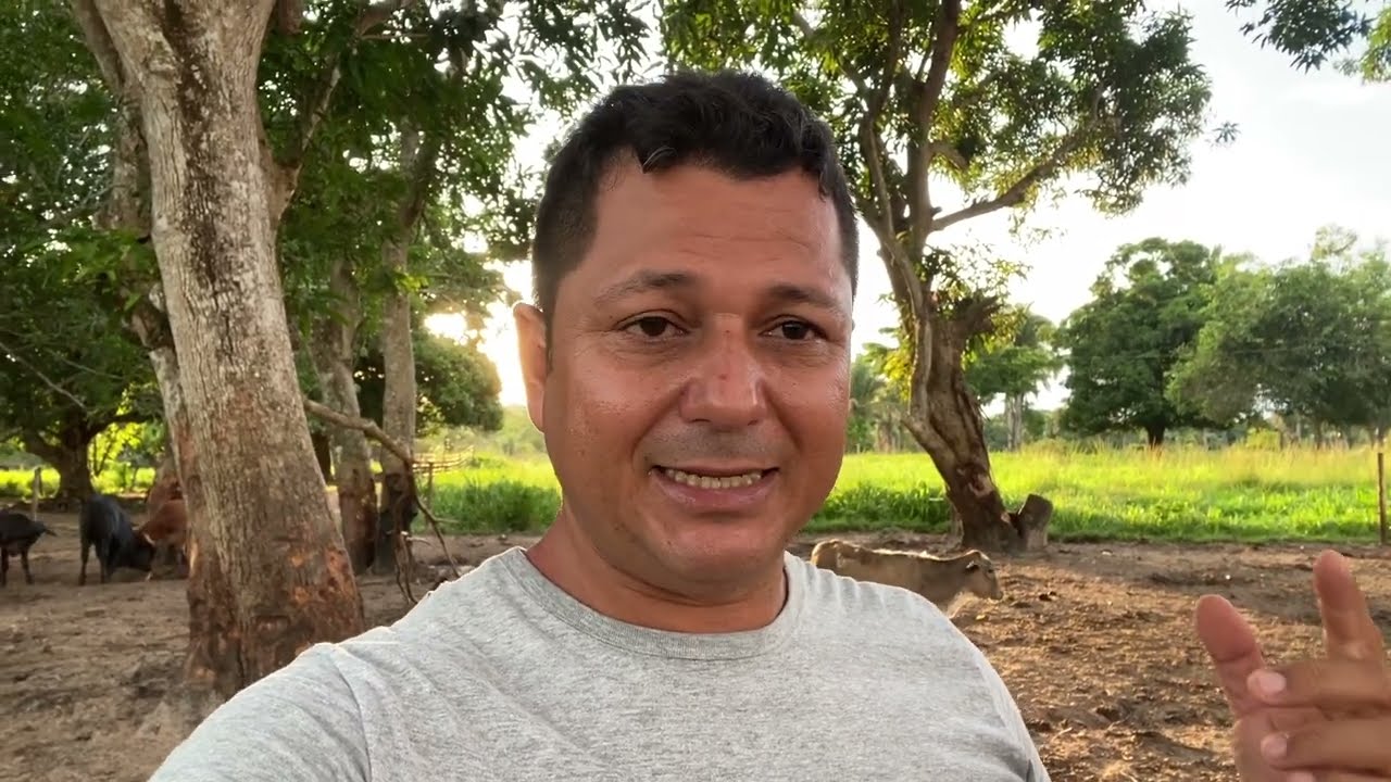 Puro Grao para Vacas de descarte. funciona é bom?