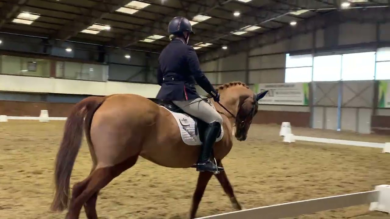 Sillan Clementine BD Combined Training Ele Dressage Test No.2 Showjumping 90cm Golden Cross 28.02.26