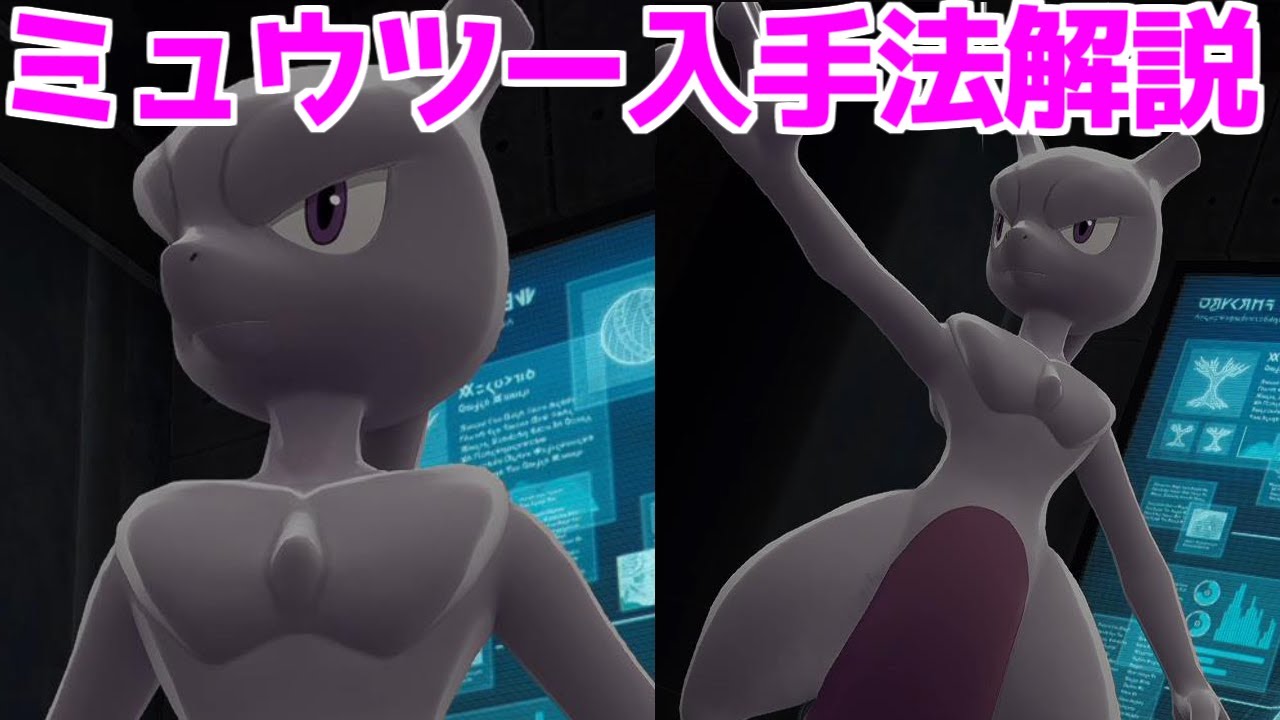 【ポケモンZA】ふしぎなおくりもの 伝説のポケモン ミュウツー ミュウツーナイト 出現場所 入手方法  攻略 【Pokémon LEGENDS ジガルデ ポケモン レジェンズ ジガルデ】