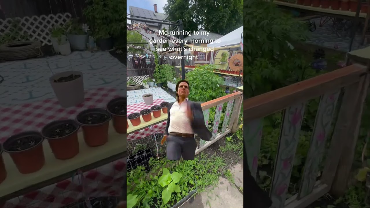 Garden morning routine - sip coffee and gaze at plants.