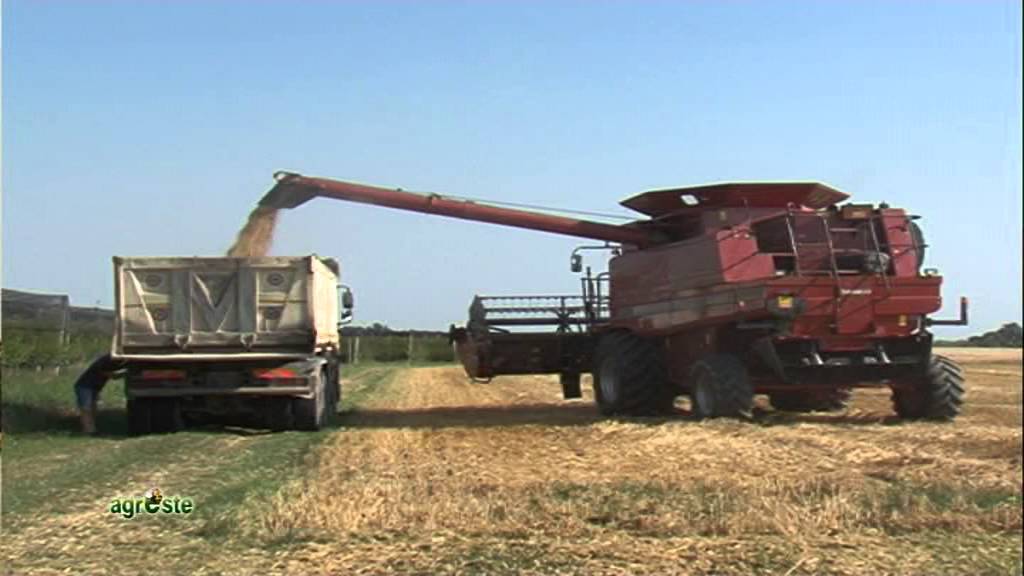 ANNATA AGRARIA 2014 – 2015 IN PROVINCIA DI FERRARA