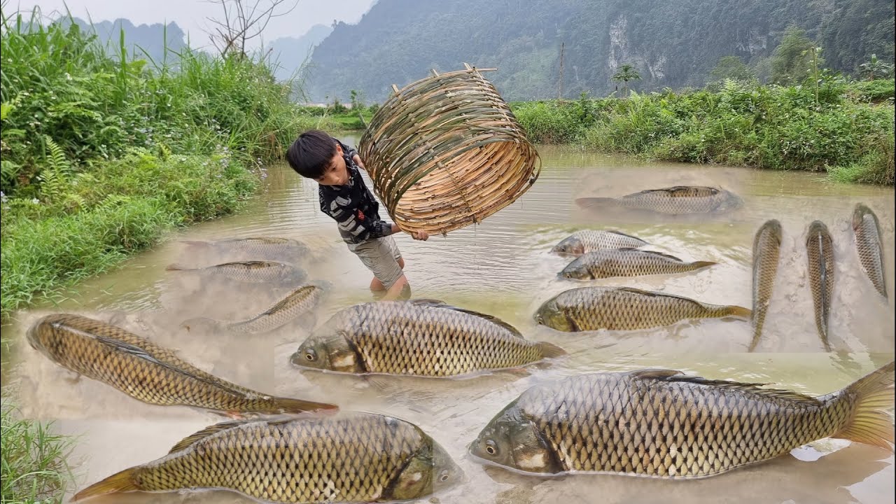 Nam - poor boy: Catch fish to sell. buy mats and pillows