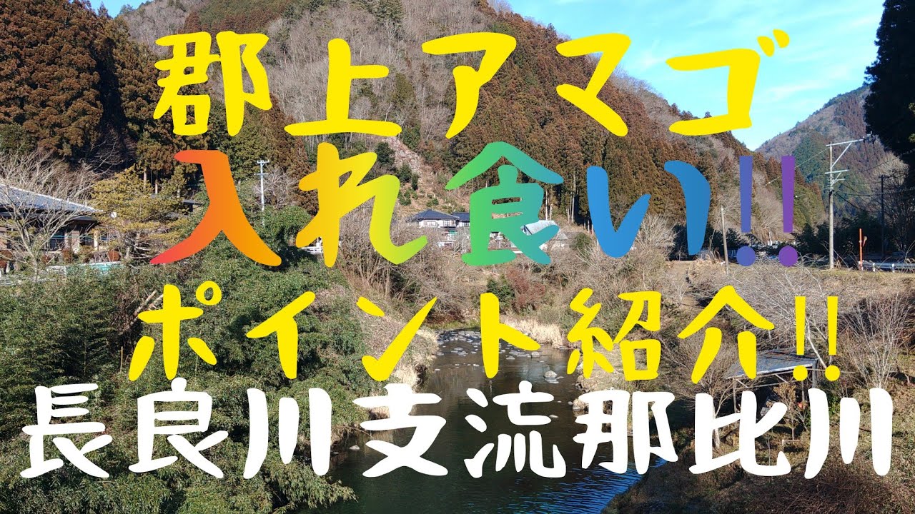 郡上アマゴ入れ食いポイント紹介‼️那比川編‼️