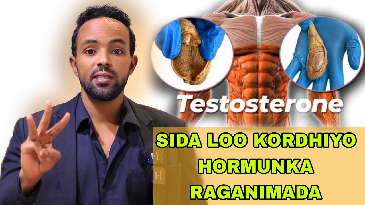 3 SHAY SARE UQAADAYO HORMUNKA RAGANIMADA | TESTOSTERONE |