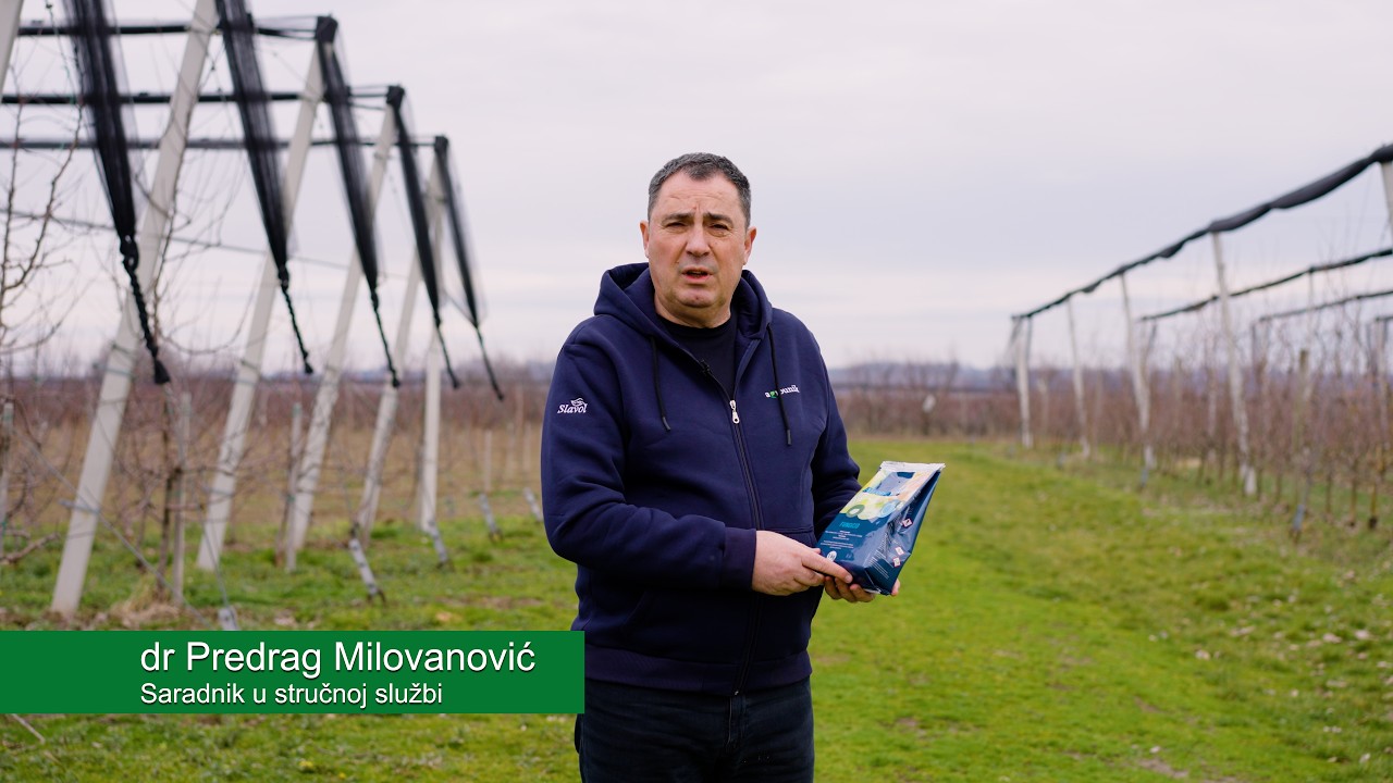 Rezidba voćnjaka i bakarna zaštita pred vegetaciju | AIRONE WG