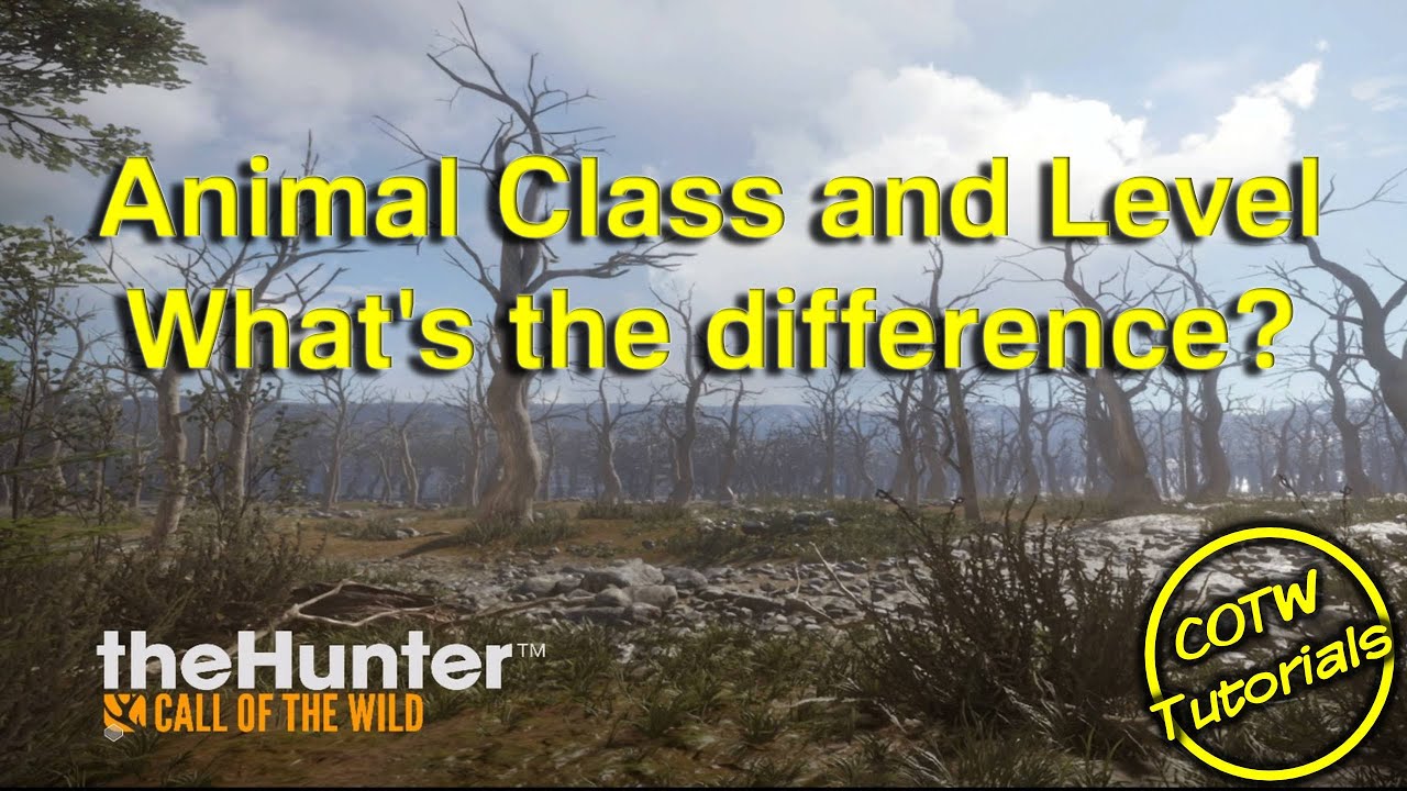 theHunter  Call of the Wild - Animal Class and Level, What is the Difference?