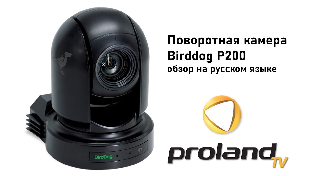 BirdDog P200 - РОБОТИЗИРОВАННАЯ NDI КАМЕРА