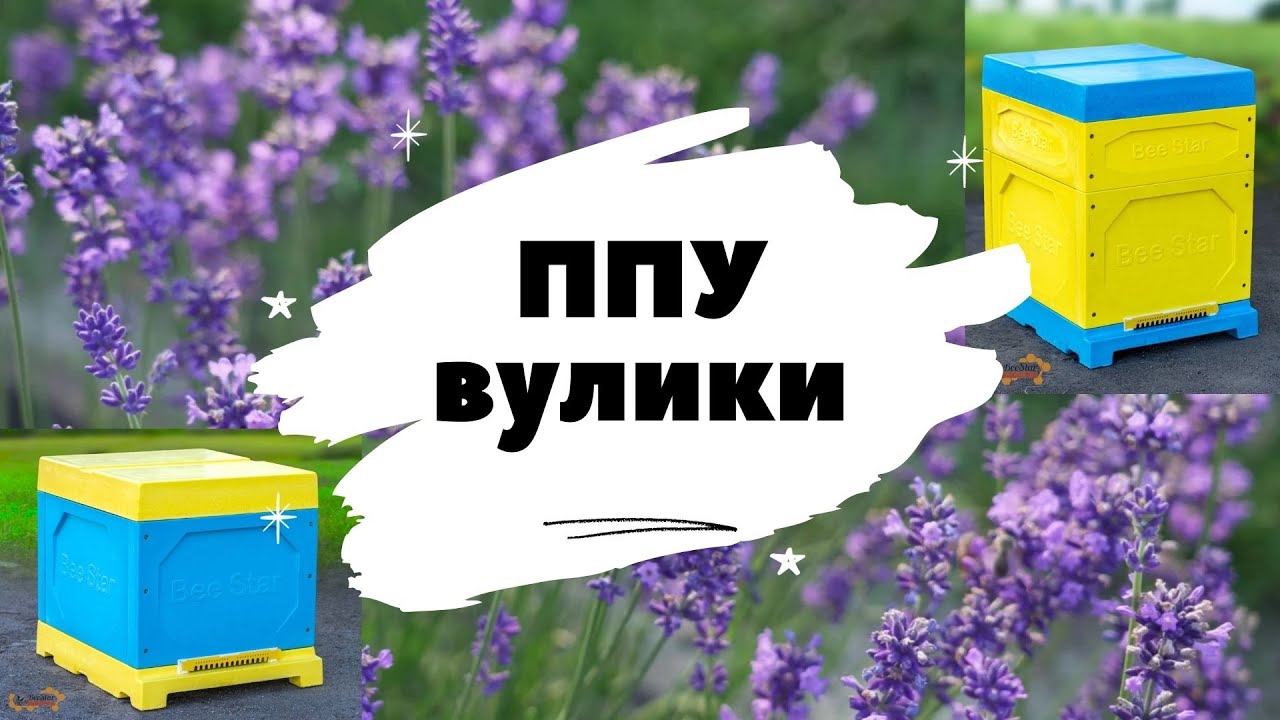 ППУ вулики Бістар