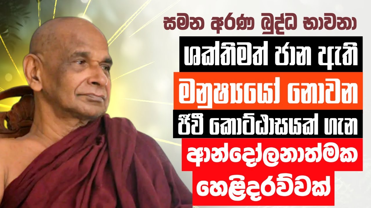 ශක්තිමත් ජාන, ඇති  මනුෂ්‍යයෝ නොවන ජීවී කොට්ඨාසයක් ගැන ආන්දෝලනාත්මක හෙළිදරව්වක්. | Sadaham Teekawa