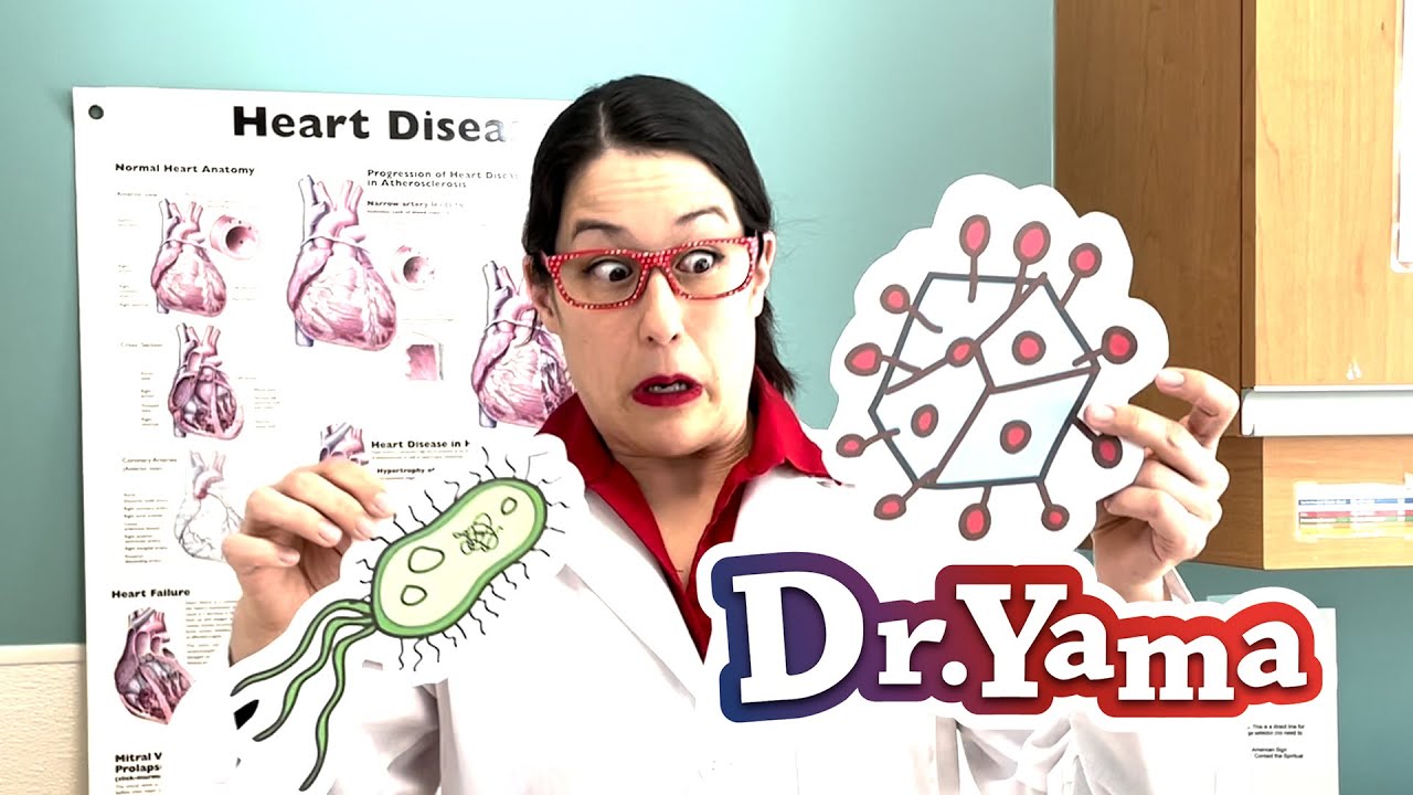 Learn about Bacteria, Viruses and Germs - Dr. Yama's Medical Educational Videos for children