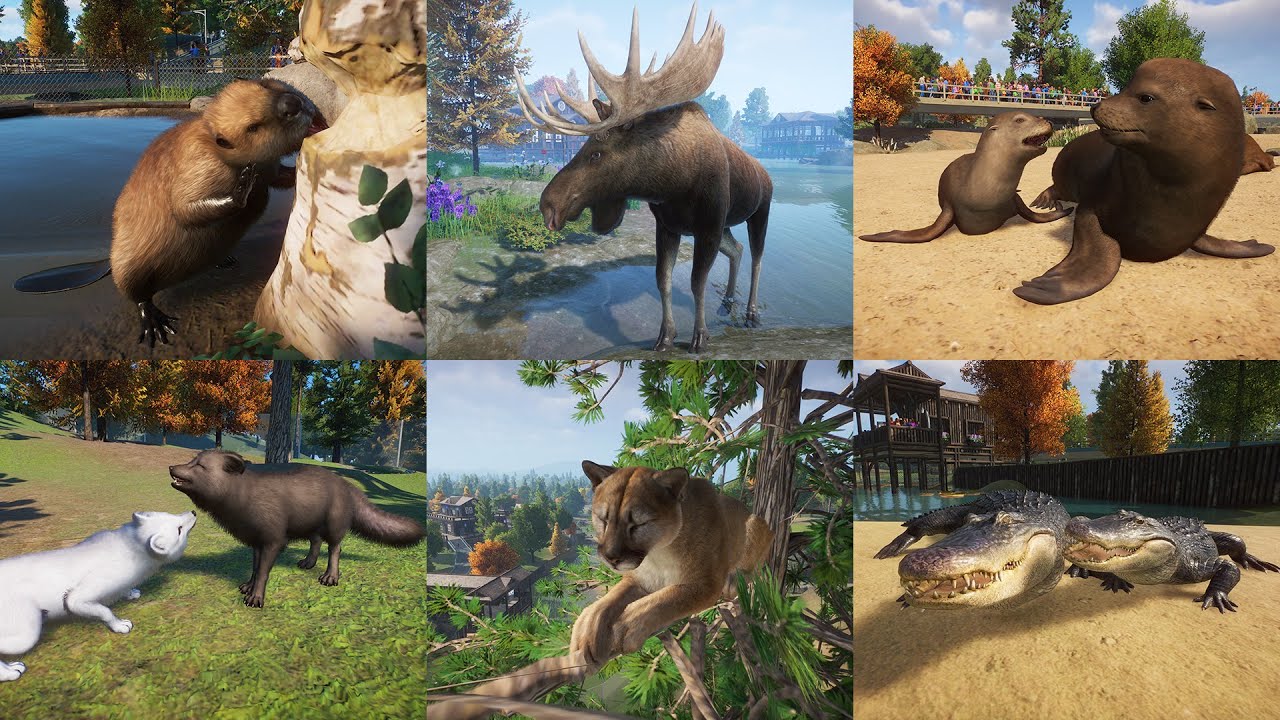 PLANET ZOO NORTH AMERICA ANIMAL - New 7 Habitat Animals (Update 1.7)