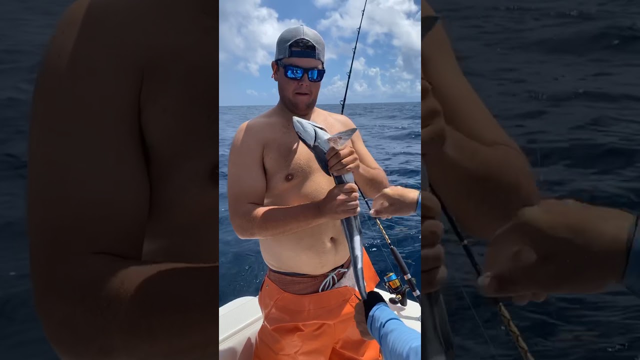 Remoras will stick to anything!