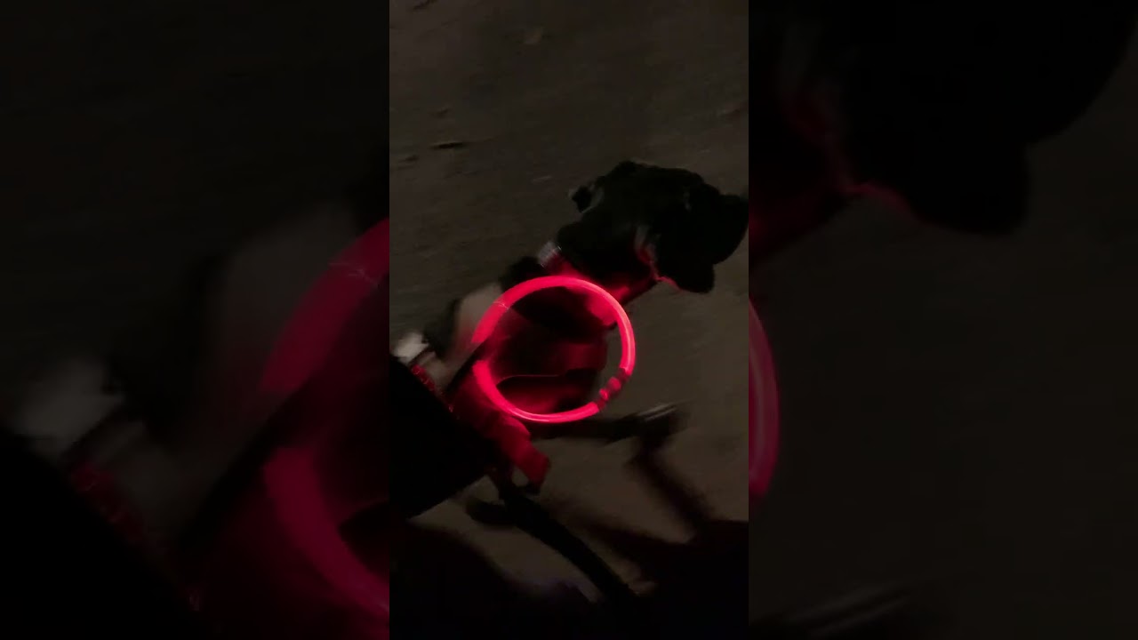 Videos for my son - reoccurring sin