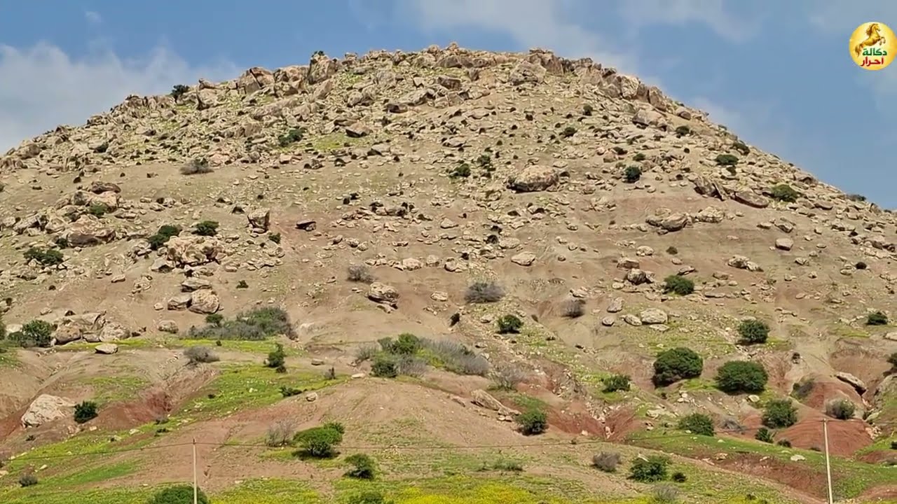 أجواء رمضانية ربيعية حصرية من طبيعة المغربية جمعة مليلة #2026 