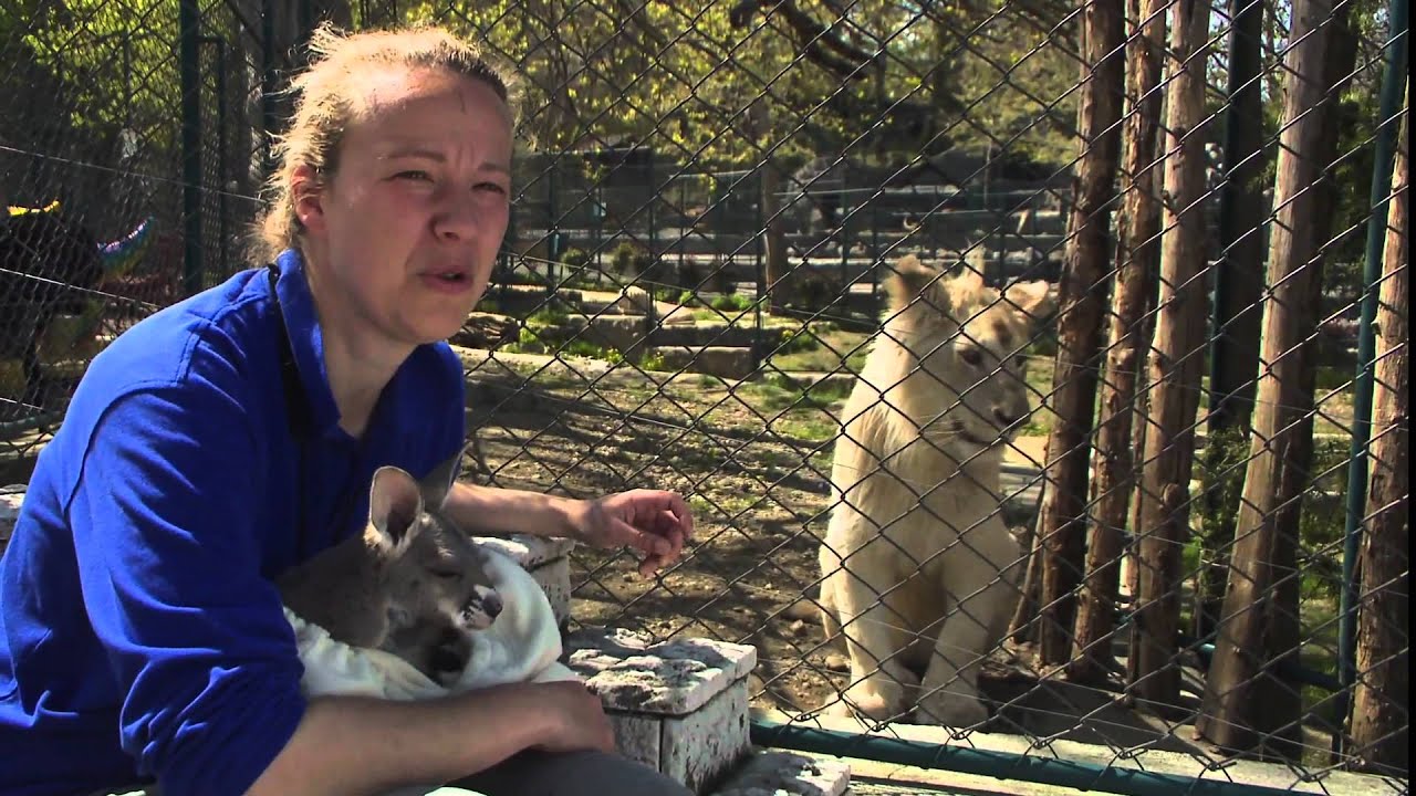 Belgrade Zoo 2011 Episode 3 Part 1
