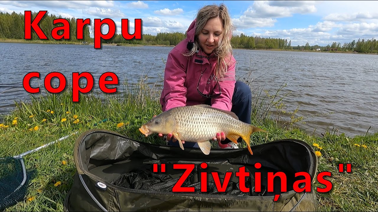 Karpu cope ''Zivtiņās''