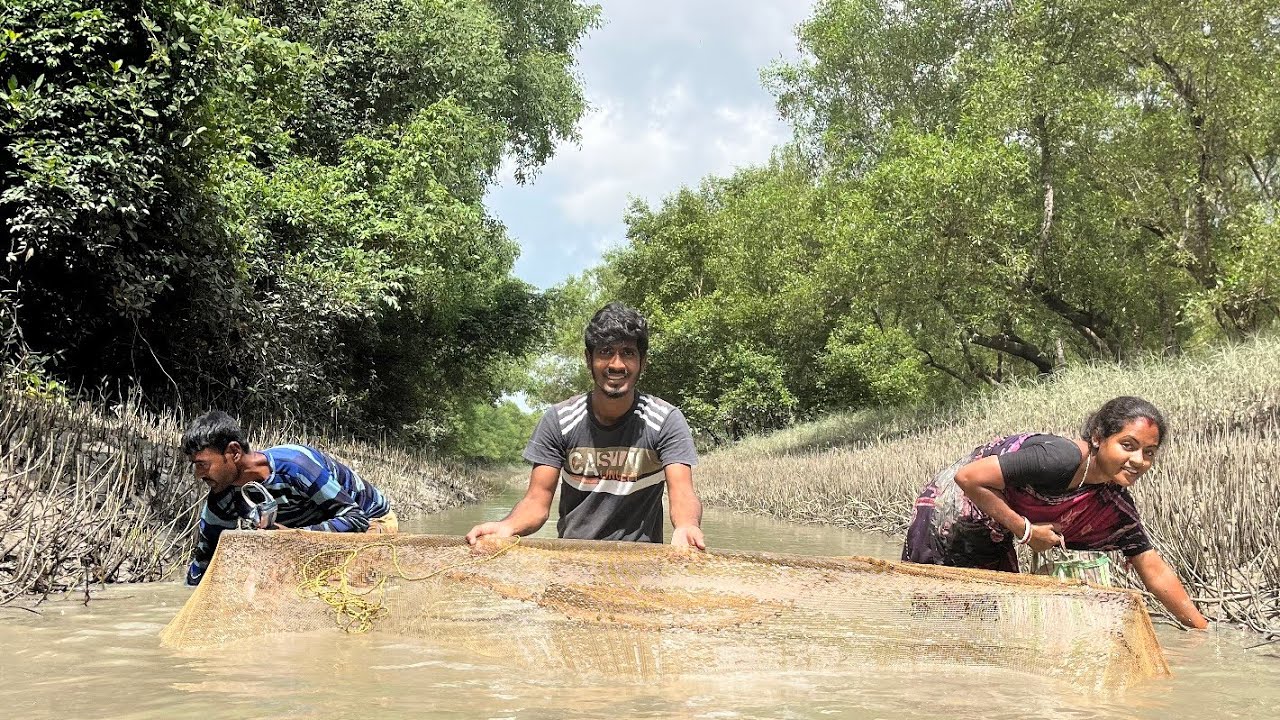 সুন্দরবনে মাছ ধরা ও কাঁকড়া শিকার.Sundarban Fishing & Crab Catching with Village Life@Prasantavlog0 