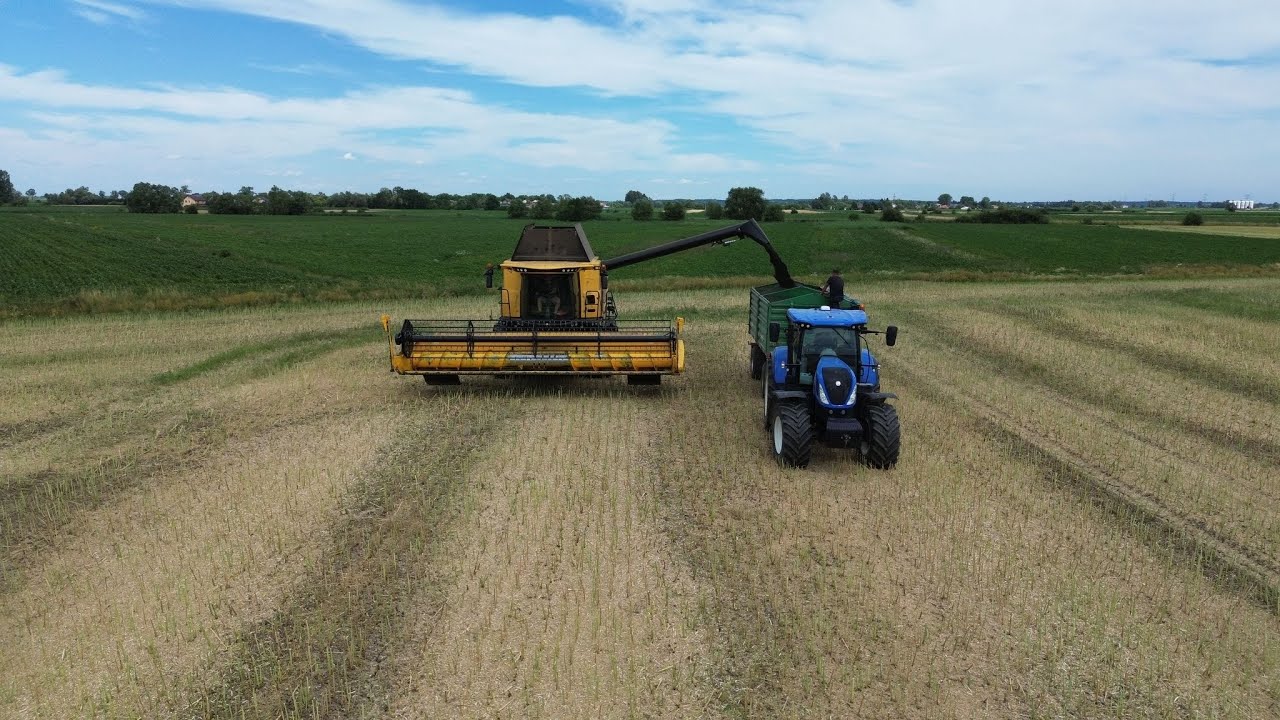 Wielkie żniwa rzepaku w Gr. Radłów / New Holland cx 8.90 / Claas Tucano440 / ( Małopolskie )