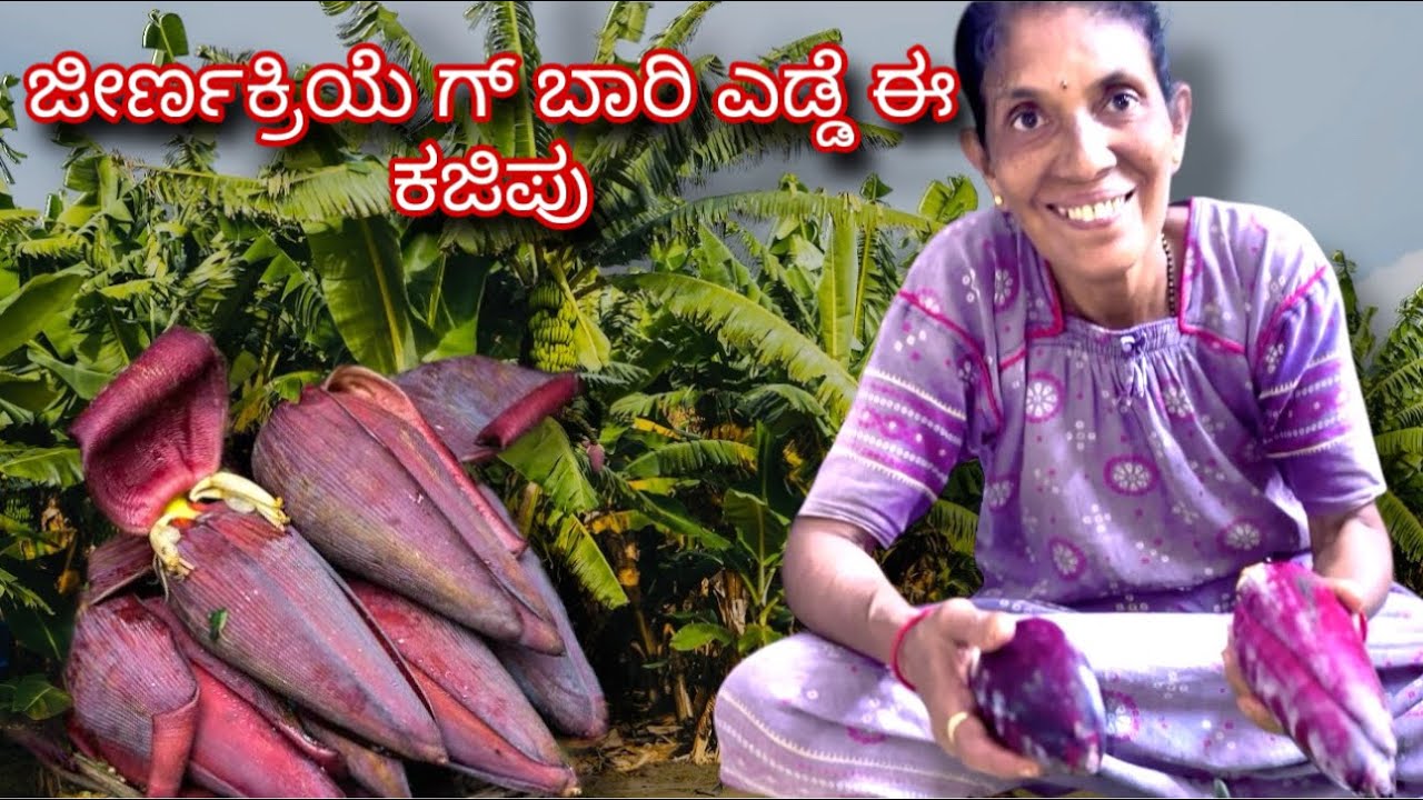 ಜೀರ್ಣಕ್ರಿಯೆ ಗ್ ಬಾರಿ ಎಡ್ಡೆ ಕಜಿಪು | Village Style Cooking |  #mangalore #kudla #tulurecipe #vlog #tulu