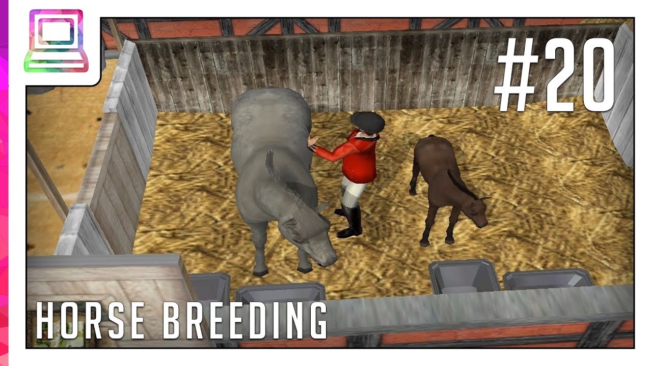My Riding Stables - Stable Manager (part 20) (Horse Game)