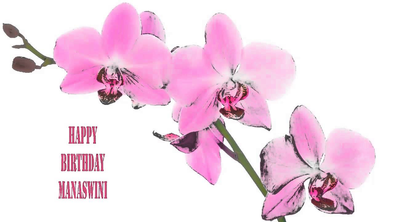 Manaswini   Flowers & Flores - Happy Birthday