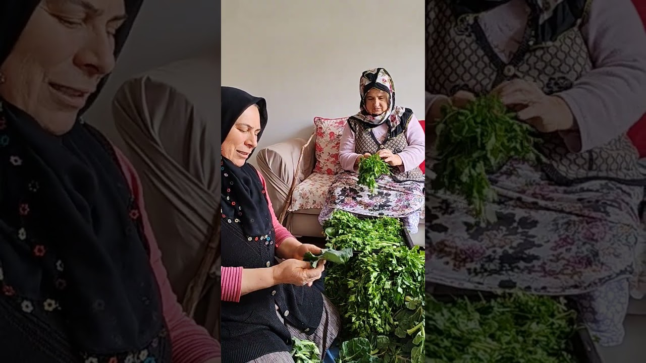 # trabzon Karakaya Köyü # lahana maydanoz # kaynana soba 