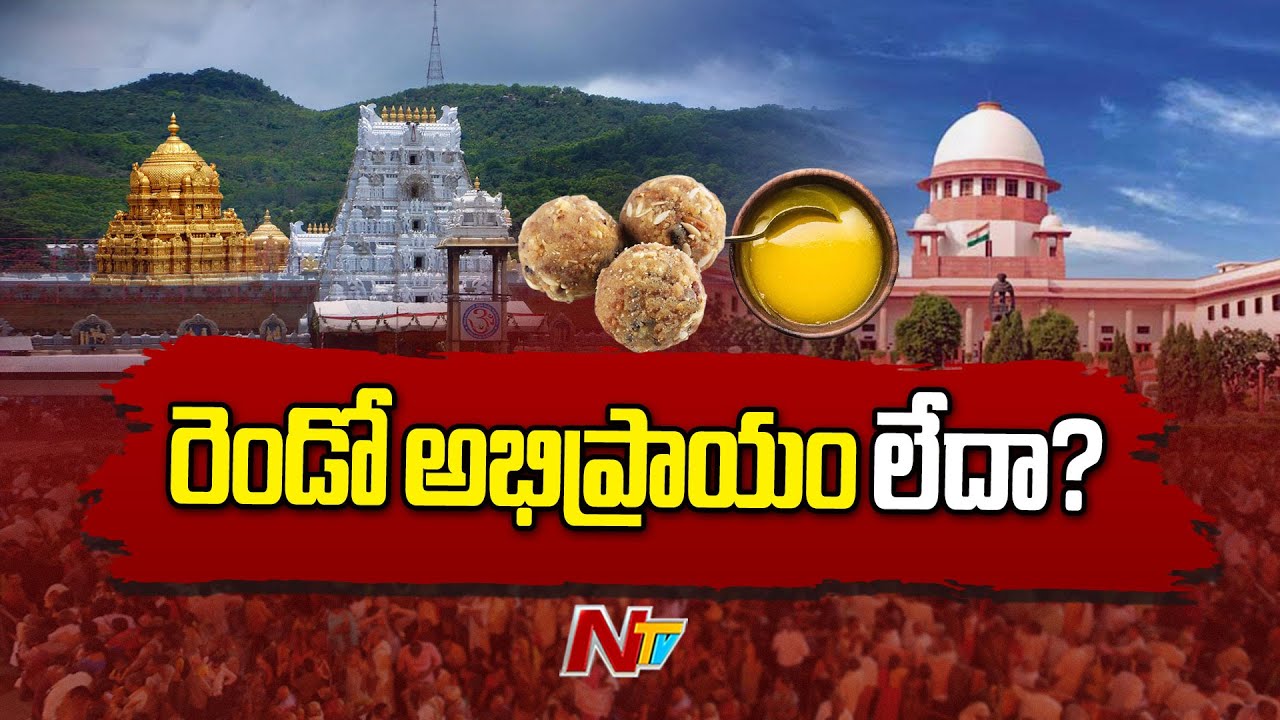 కల్తీ నెయ్యి పై సుప్రీంకోర్టు ఏం చెప్పింది..? | Supreme Court on Adulterated Ghee | Ntv