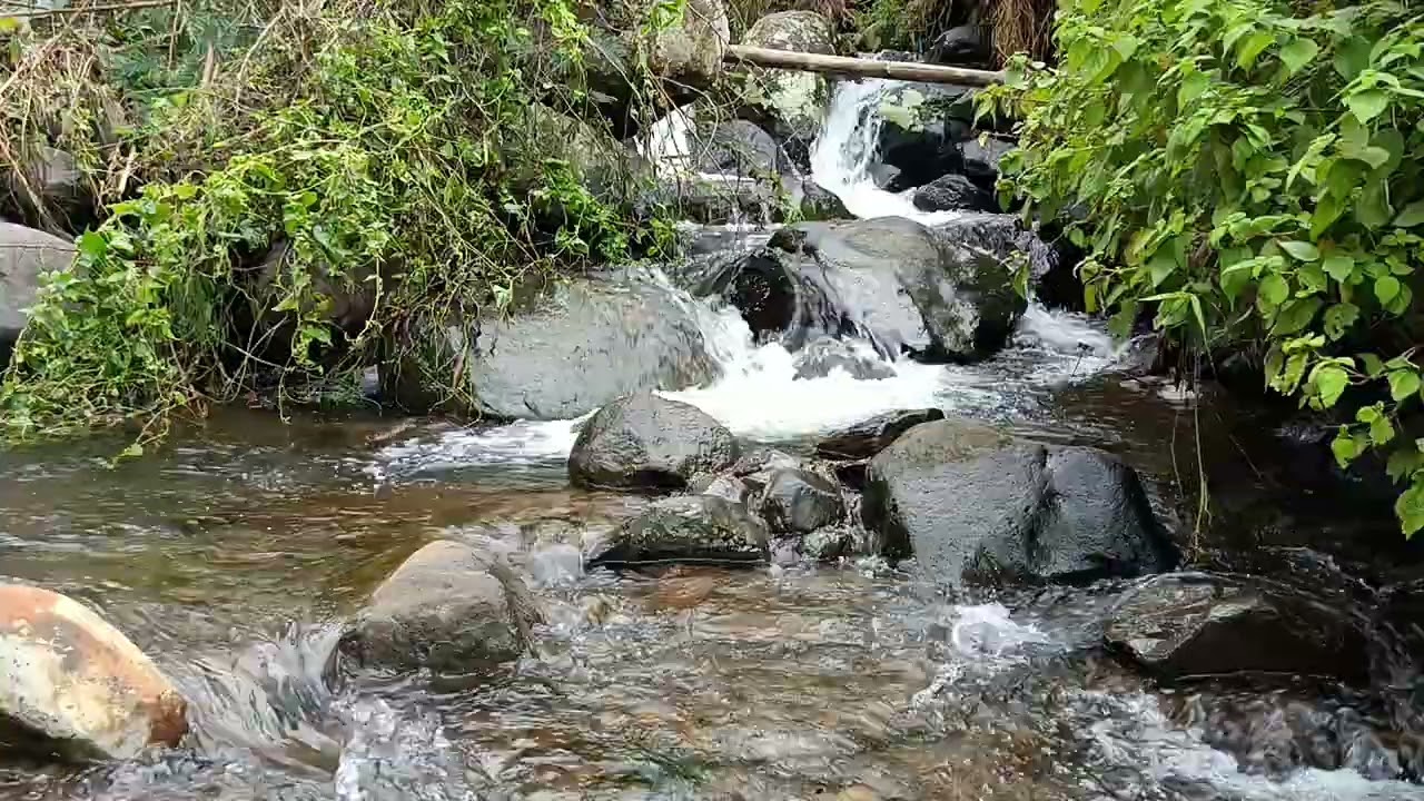 Crystal Clear Mountain River Flowing Through Untouched Wilderness
