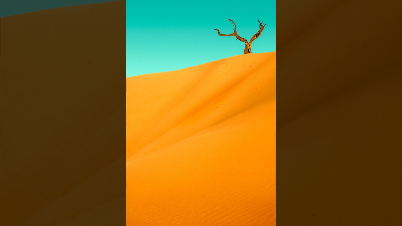 Sun, Sand and Human