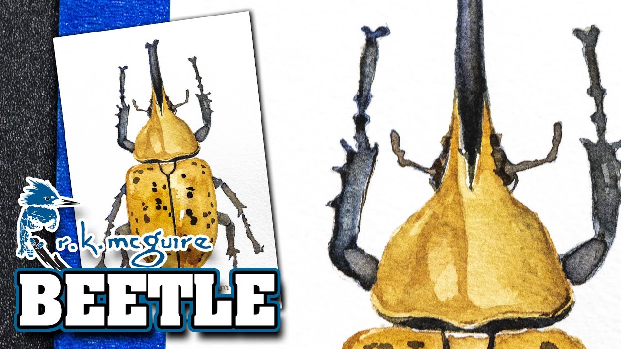 How to Draw a Beetle | Summer Art Series | R K McGuire