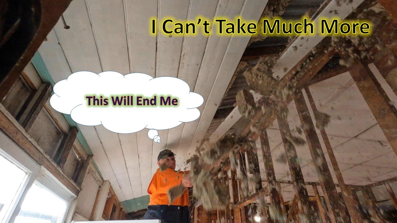 A Complete Renovation: - Gutting and Demolishing Going Wrong.