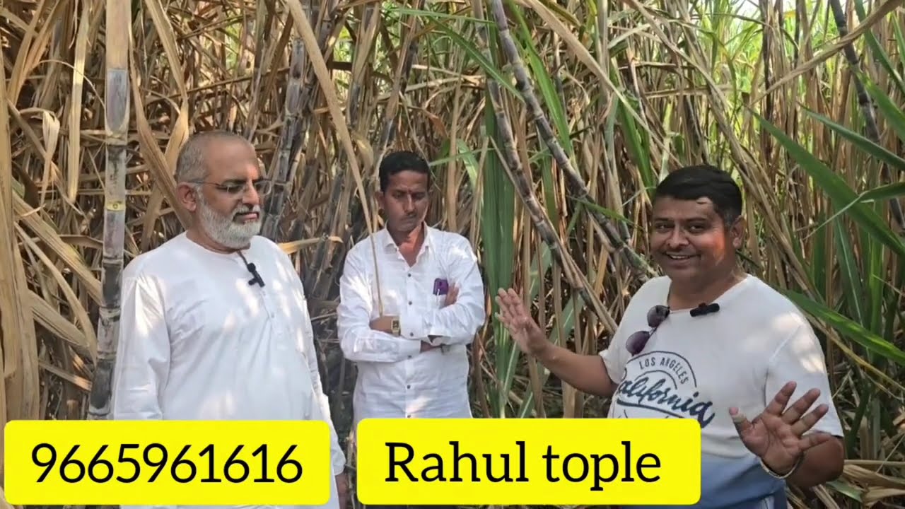100% नैसर्गिक आणि पारंपारिक पद्धतीने अप्रतिम ऊसाचे उत्पादन  || Mission Organic ||