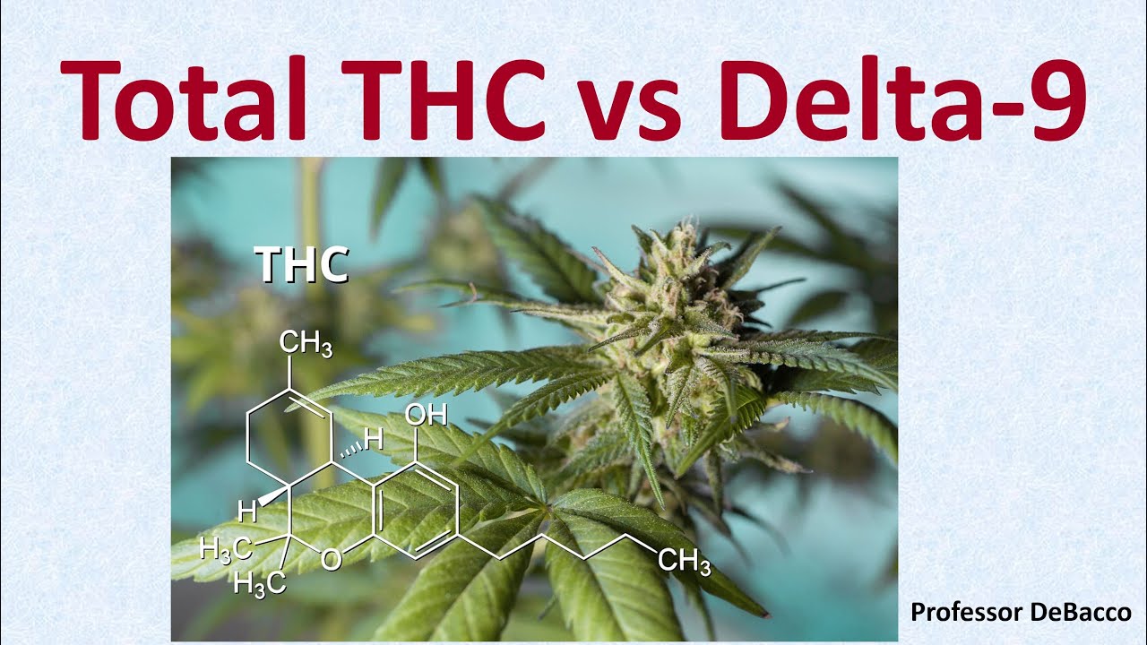 Total THC vs Delta 9