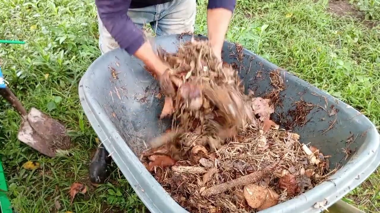 Lombricultura Parte 2 - Montaje de Proyecto