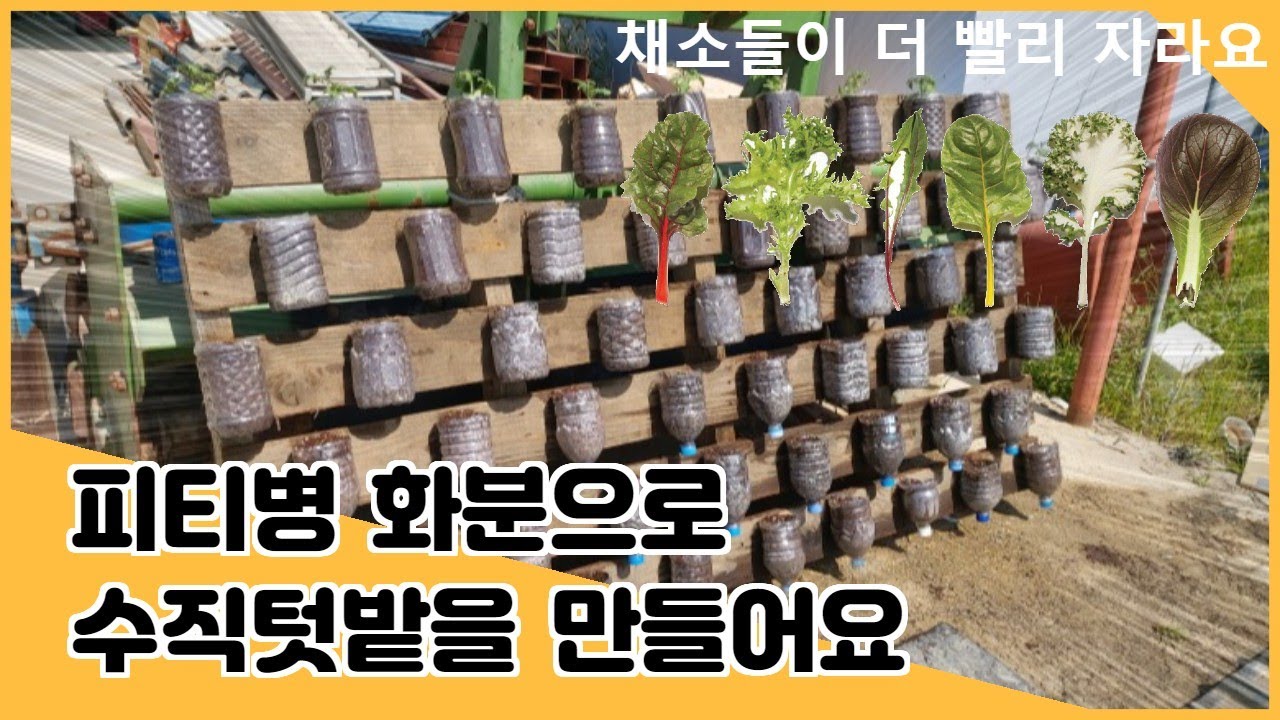 79. 페트병을 재활용해서 수직 텃밭을 만들어요