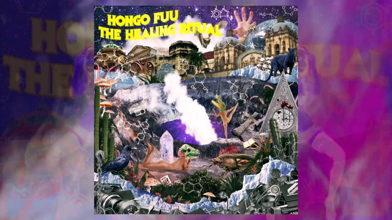 Hongo Fuu - 