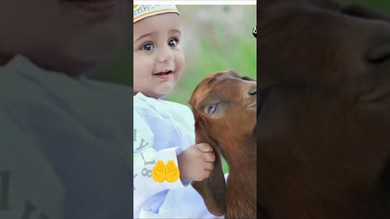qurbani karen ge dil se karenge #bakraeidmubarak #bakraeid2025