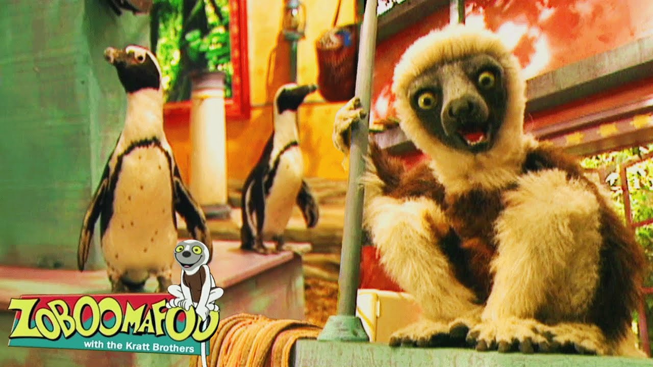 Water Creatures | Zoboomafoo - WildBrain | Movies for Kids