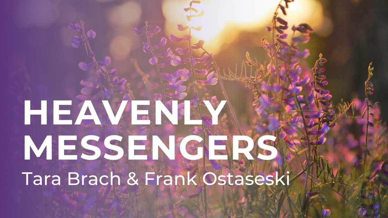 Contemplating Death: Tara Brach Interviews Frank Ostaseski on the Heavenly Messengers