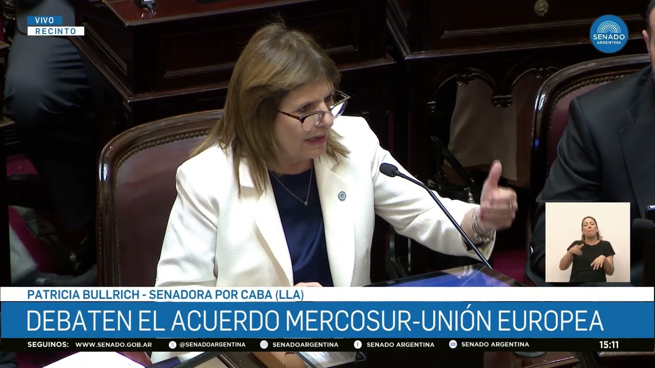 SENADORA PATRICIA BULLRICH 2 - SESIÓN PÚBLICA ESPECIAL 26-02-26