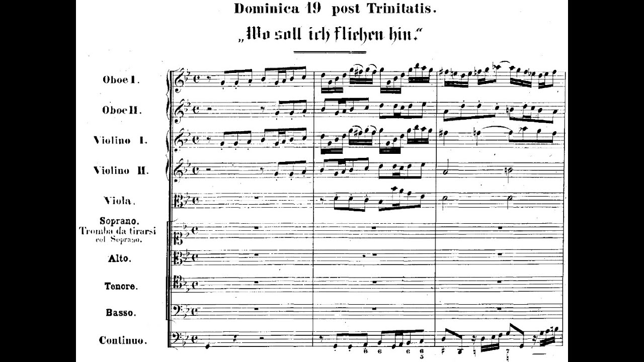 Johann Sebastian Bach - Cantata: Wo soll ich fliehen hin, BWV 5. {w/ score.}